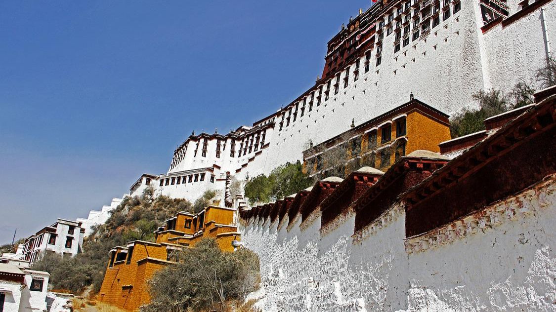 限流  需提前一天预订 西藏布达拉宫恢复开放