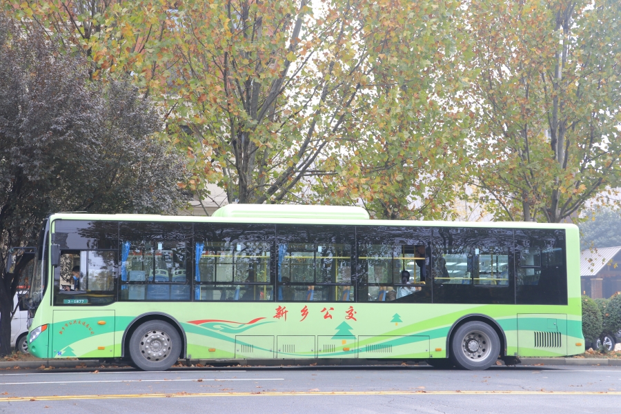 舟山公交持续优化公交线网结构 新能源覆盖率再提升
