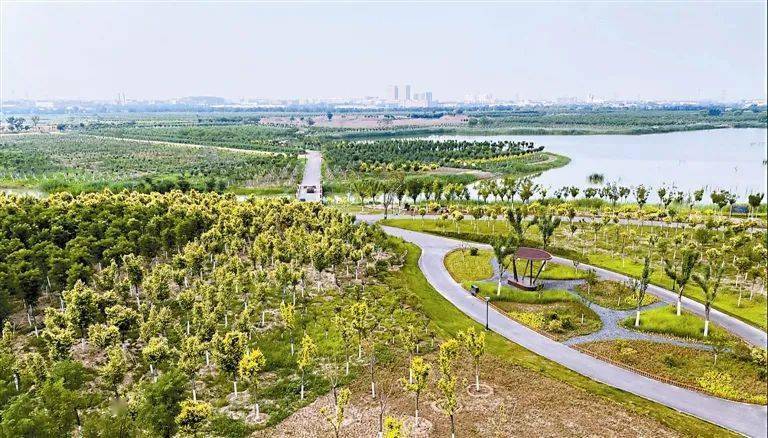 天津初步建成双城间绿色生态屏障生态水网 水资源保障能力稳步提升