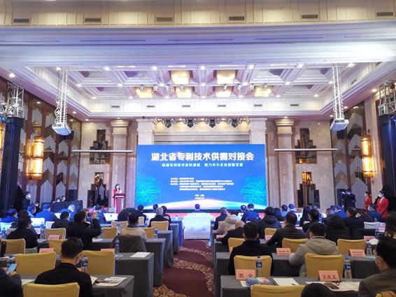 2022湖北首场专利技术供需对接会在武汉举办 发布350项专利技术成果