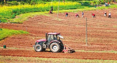 四川西充县在规范中持续壮大有机农业 巡查先行确保严守标准