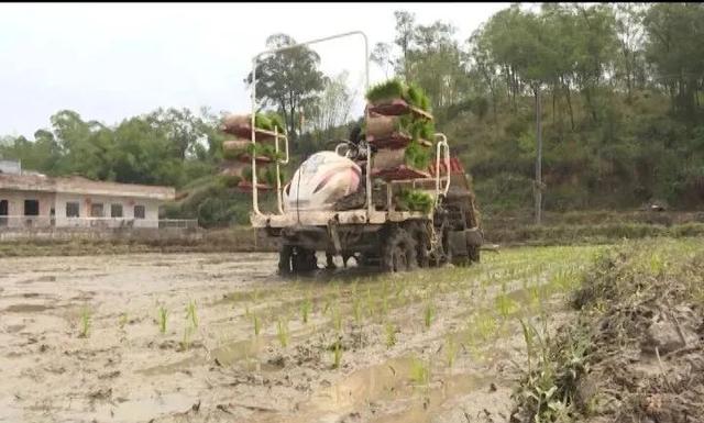 广西博白县积极推动农机服务水平提升 提升农业综合机械化水平