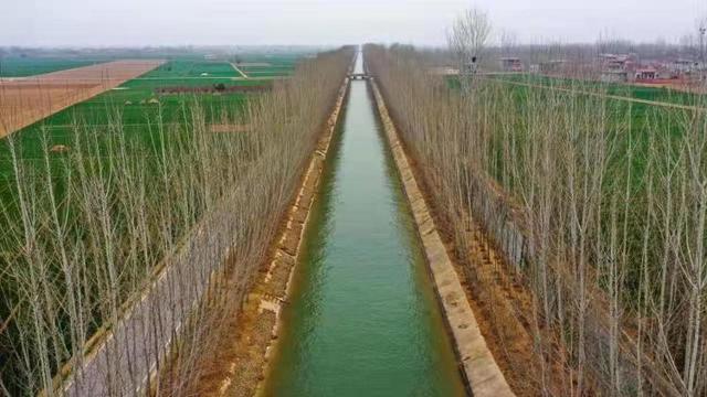 河北今年已有37处大中型灌区开闸放水 灌溉农田281万亩