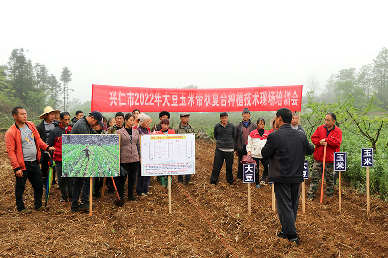 贵州兴仁市开展大豆玉米带状复合种植培训会 推动老百姓增产增收