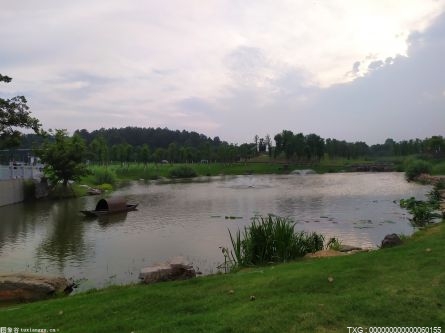 兰州红古区全力打造河畅水清林绿景美生态环境