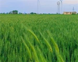 保障农业发展、农民增收 兰州启动抗旱保灌应急行动