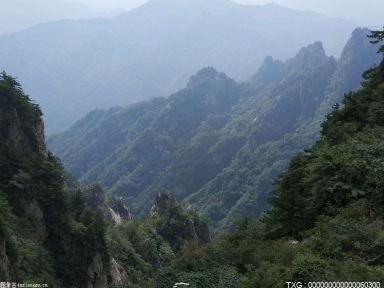 安徽省下达省级以上森林生态效益补偿资金3.93亿元