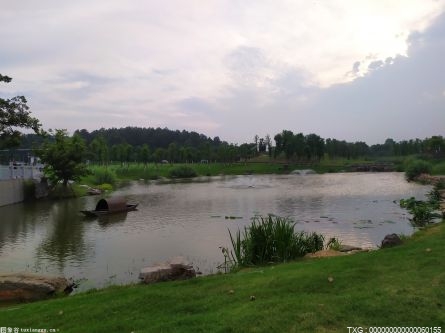 景德镇挖掘水生态旅游资源促进旅游消费提升 成了市民和游客的打卡地